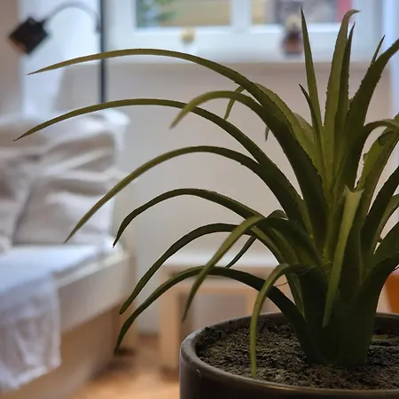 Ritual Center Apartment